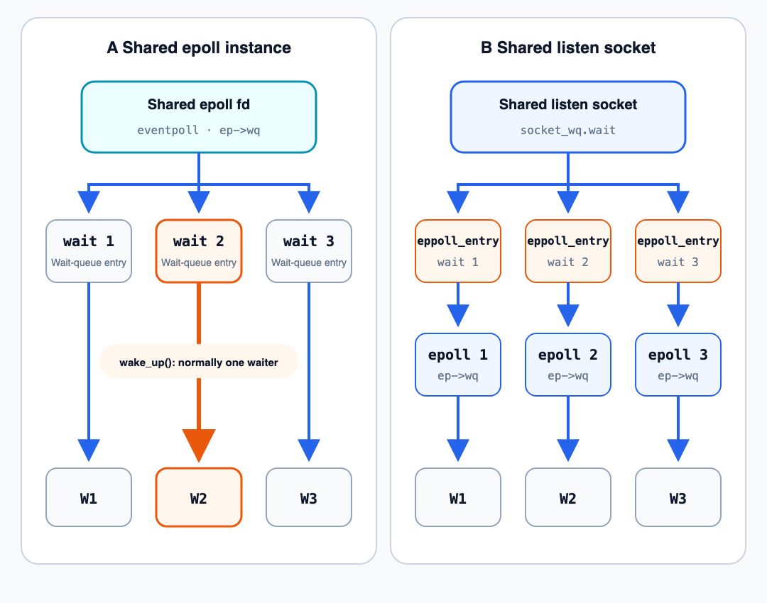 Shared epoll and shared listen-socket designs place contention on different wait queues
